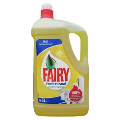 fairy_5L.jpg